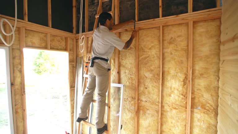 Best Crawl Space Insulation  in Glendale Heights, IL