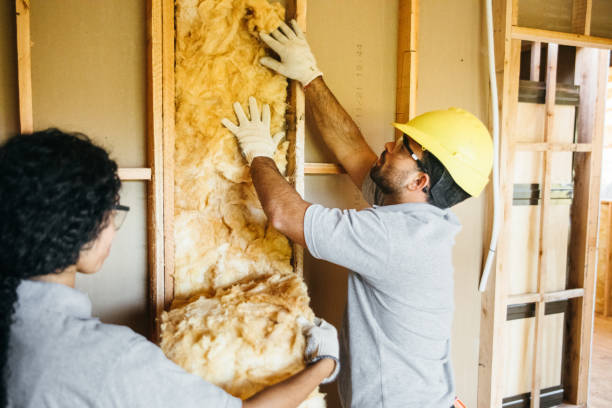 Best Commercial Insulation Services  in Glendale Heights, IL